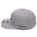 Alphabet V Snapback