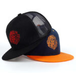 Lion Snapback