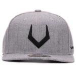 Alphabet V Snapback