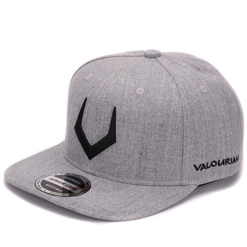 Alphabet V Snapback